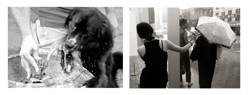 Original Art/Photography