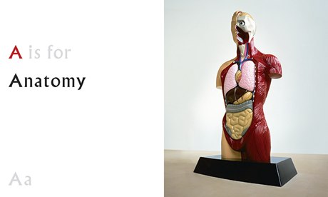 A is for Anatomy, from ABC by Damien Hirst